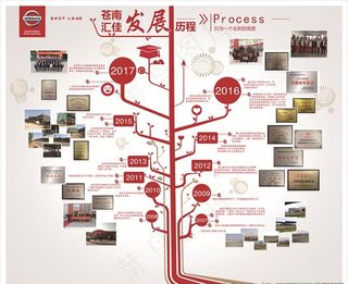 公司发展历程图片