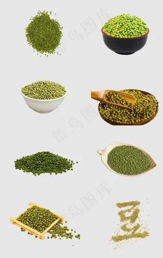 绿豆图片