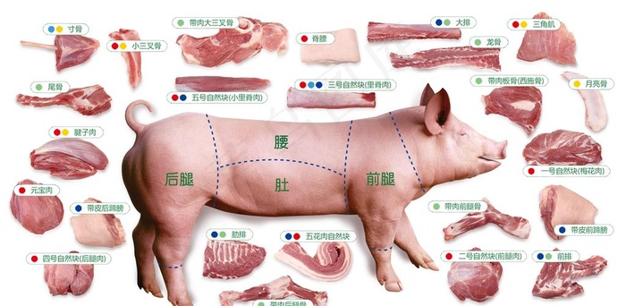 猪肉图片