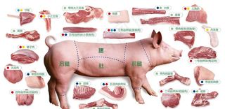 猪肉图片