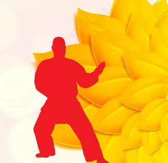 金花武术高手图片 金花武术高手图片