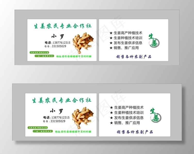 生 姜专业合作社名片图片cdr矢量模版下载