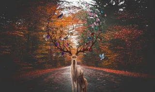 欧式麋鹿森林背景墙图片