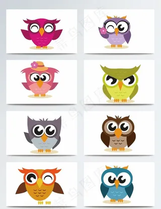 彩色大眼睛可爱设计猫头鹰图片