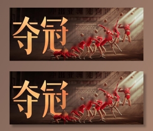 夺冠海报图片