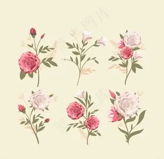 矢量玫瑰花图片