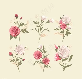 矢量玫瑰花图片 矢量玫瑰花图片