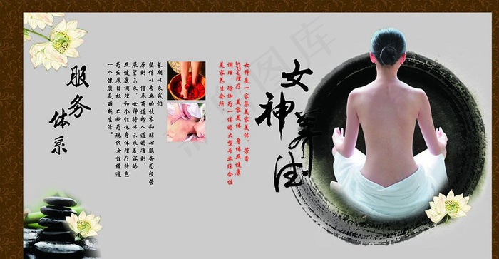 美容养生海报 展板图片