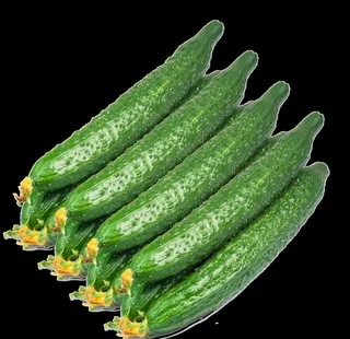 黄瓜免扣素材图片