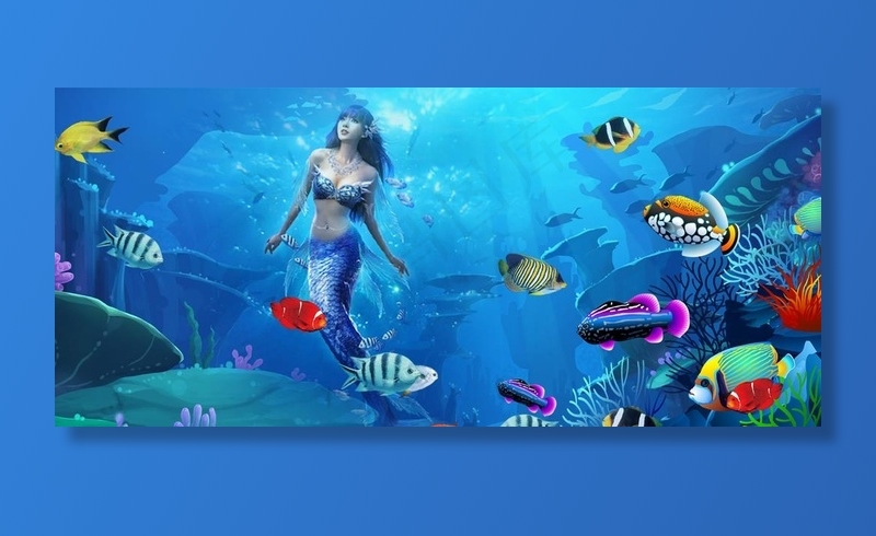 海洋美人鱼图片