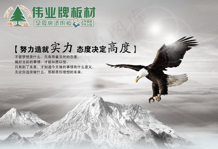伟业牌板材实力态度高度图片