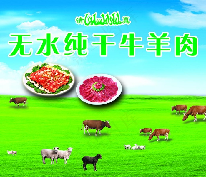 牛羊肉海报图片
