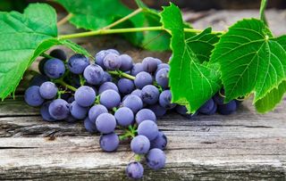葡萄图片