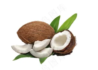 椰子图片