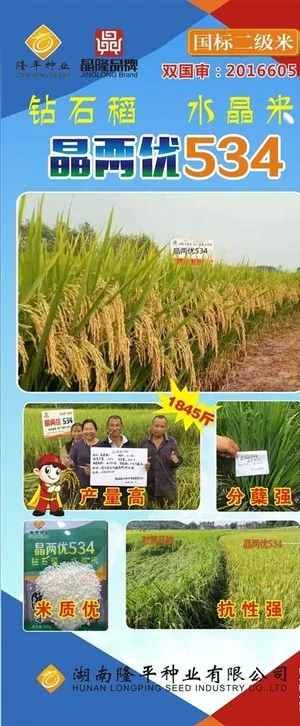 晶两优展架图片