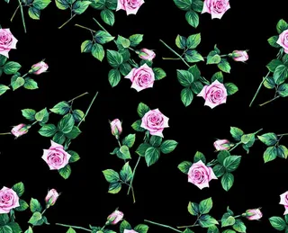 大玫瑰 手绘玫瑰图片