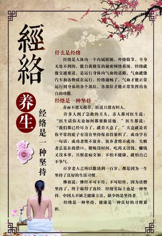 中医养生经络图片