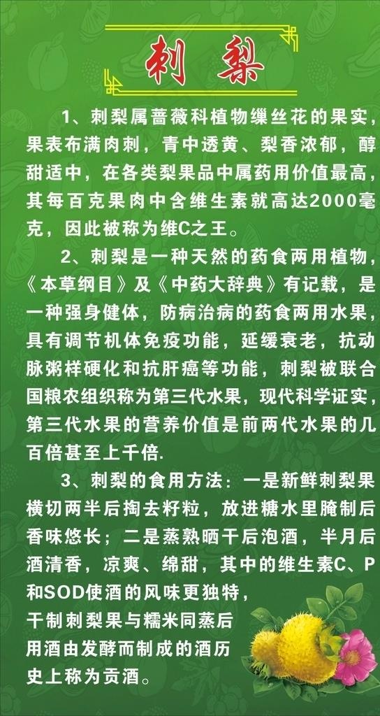 刺梨简介 水果图片cdr矢量模版下载