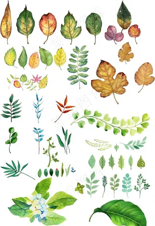 树叶免抠图设计元素图片
