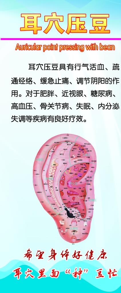 耳穴压豆图片psd模版下载