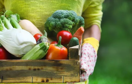 蔬菜图片 蔬菜图片