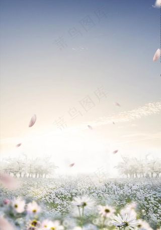 浪漫花海背景图片