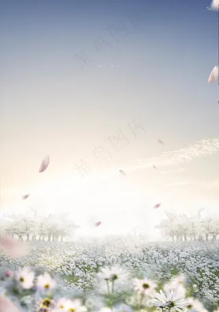 浪漫花海背景图片