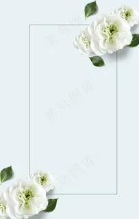 栀子花背景图片 栀子花背景图片