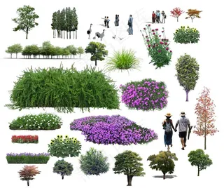 花木绿色植物图片