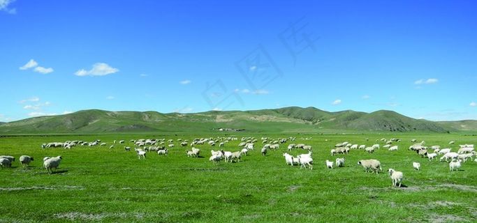 草原旅游海报图片