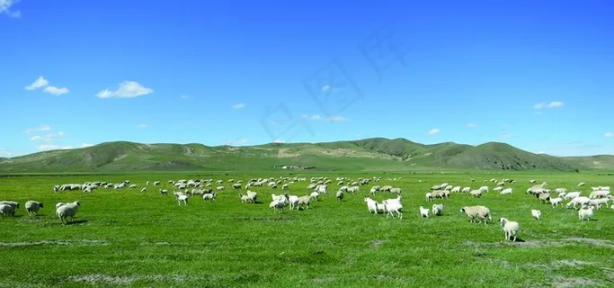 草原旅游海报图片