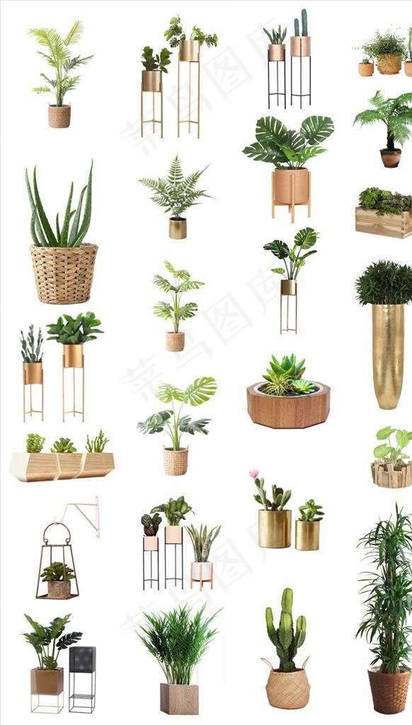 室内设计绿色植物盆栽png素材图片
