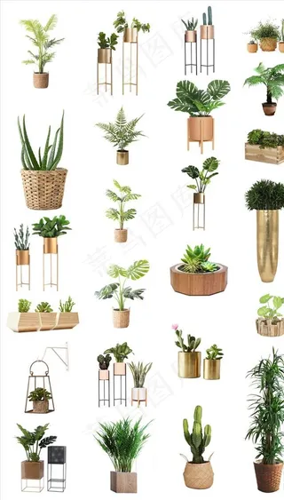 室内设计绿色植物盆栽png素材图片