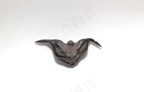 菱角图片 菱角图片