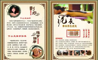 刮痧 泥灸 推拿 按摩 养生背图片