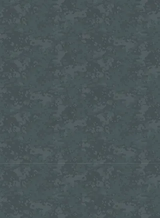 深色迷彩花纹背景图片