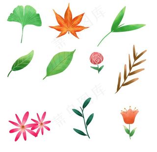 树叶花卉图片