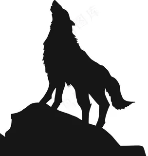 狼图片 狼图片
