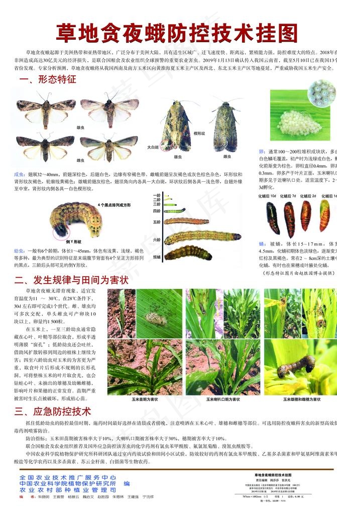 草地贪夜蛾防控技术挂图图片(6213X9047(DPI:300))psd模版下载