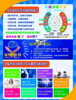 全脑开发暑期招生彩页海报图片