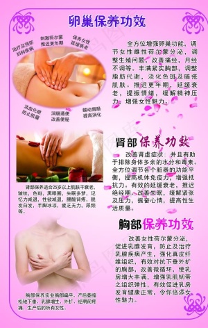 卵巢保养 胸部保养  肾部保养图片
