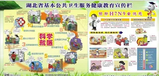 公共卫生宣传栏图片