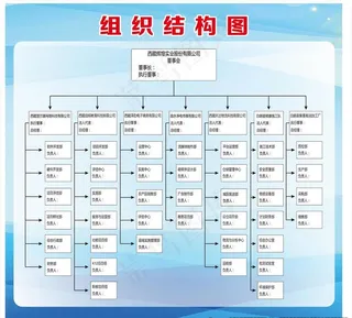 组织结构图图片