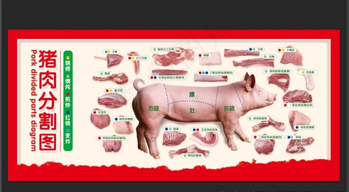 猪肉分割图图片