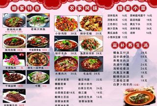 菜单炖大鹅图片