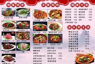 菜单炖大鹅图片