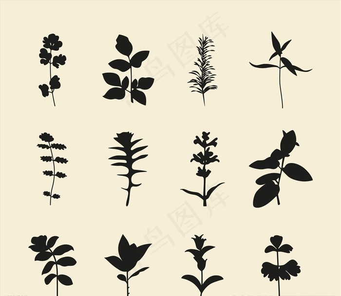 植物剪影图片