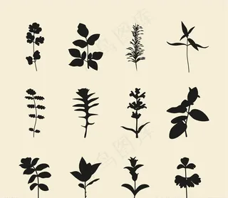 植物剪影图片