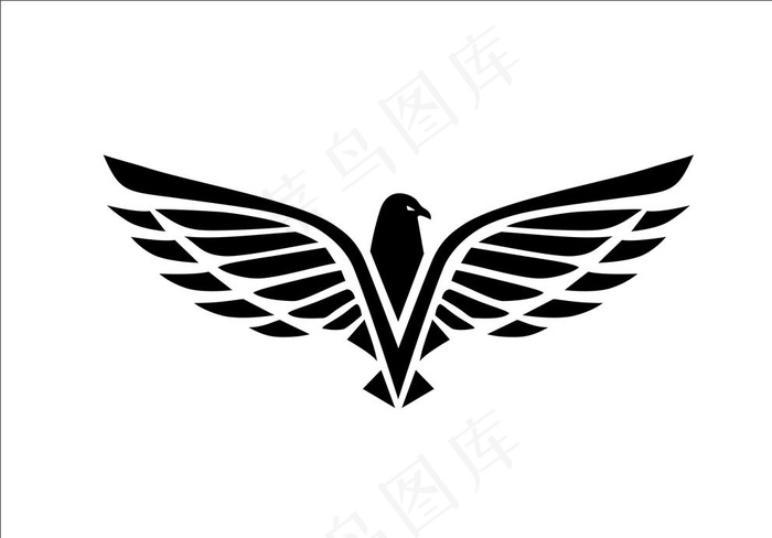 集合雄鹰鹰展翅图片