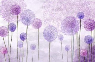 蒲公英背景墙图片